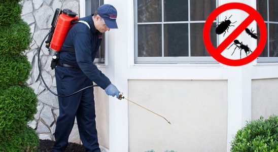 Kurşunlu Fare İlaçlama böcek ilaçlama ve haşere kontrolü — ilaclama-tr.com